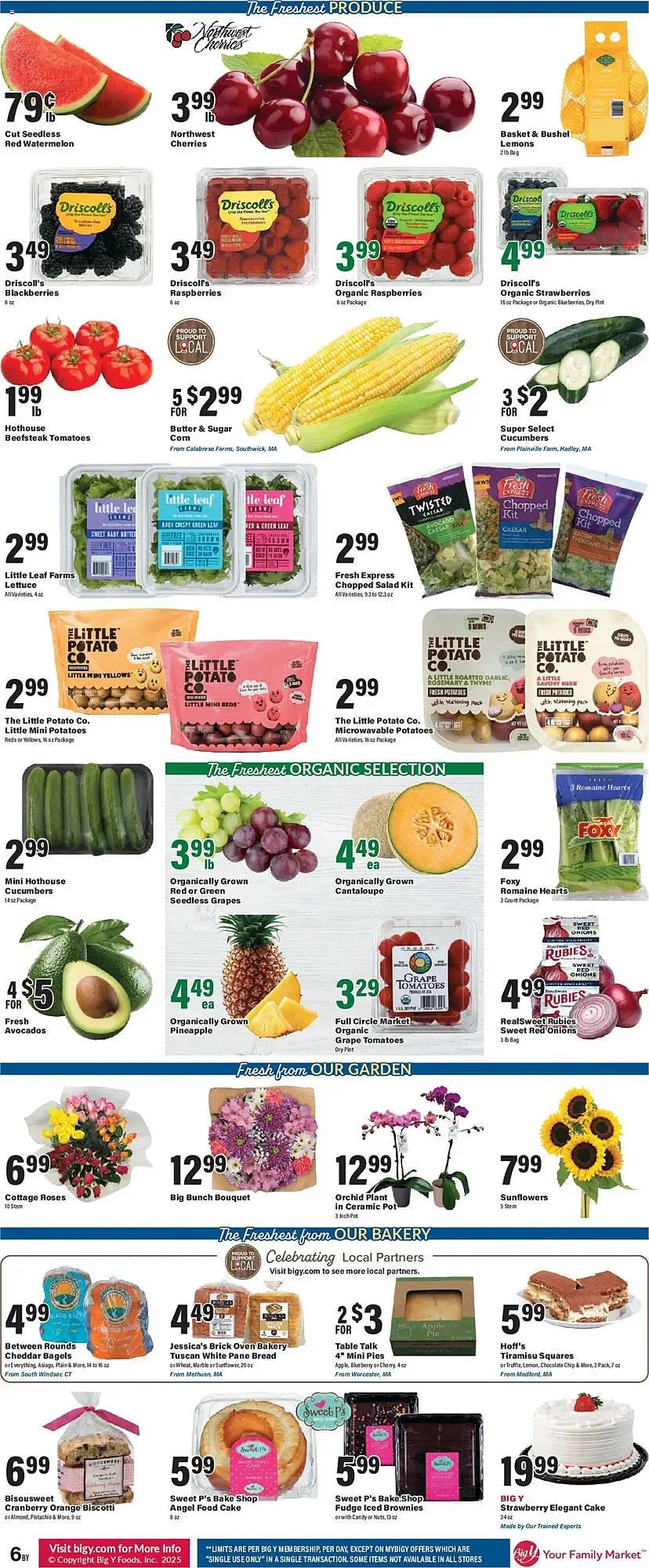 Weekly ad Big Y Weekly Ad from July 10 to July 17 2025 - Page 13