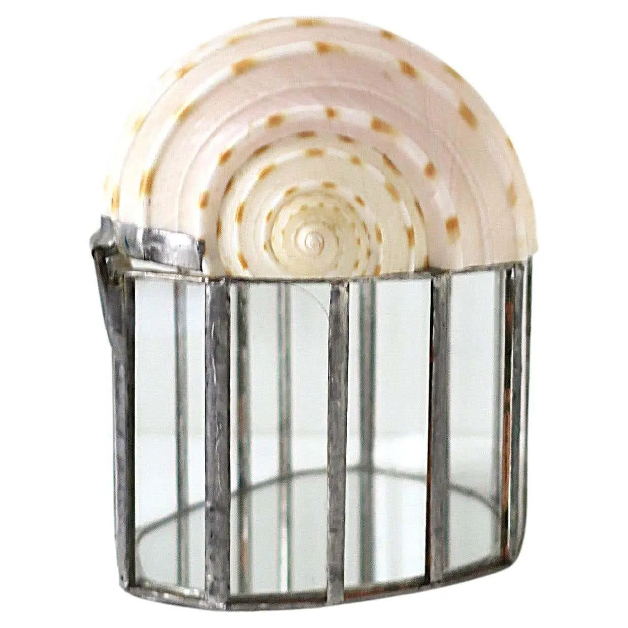 Seashell Jewelry Trinket Box