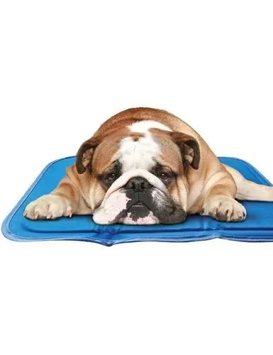 Green Pet Dog Bed Cool Pad, Medium
