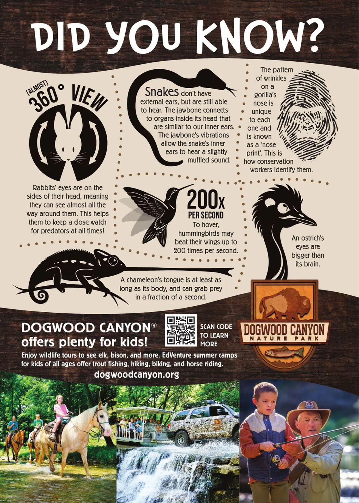 Weekly ad Cabela's Current weekly ad from October 31 to November 14 2025 - Page 46