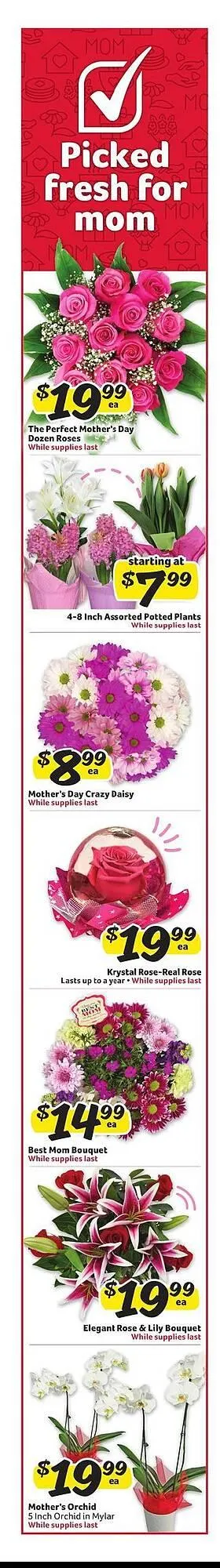 Weekly ad Winn Dixie Weekly Ad from May 7 to May 13 2025 - Page 2