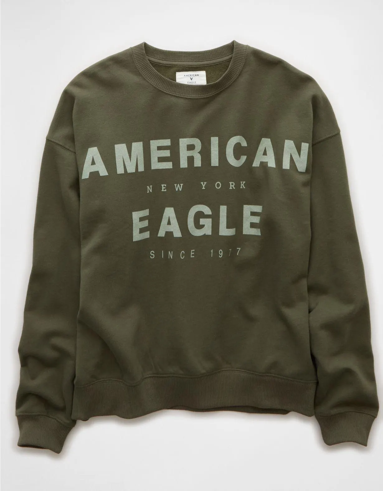 AE Funday Graphic Sweatshirt