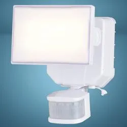 Patriot Lighting® Solar-Powered Motion Sensing LED Outdoor Security Flood Light