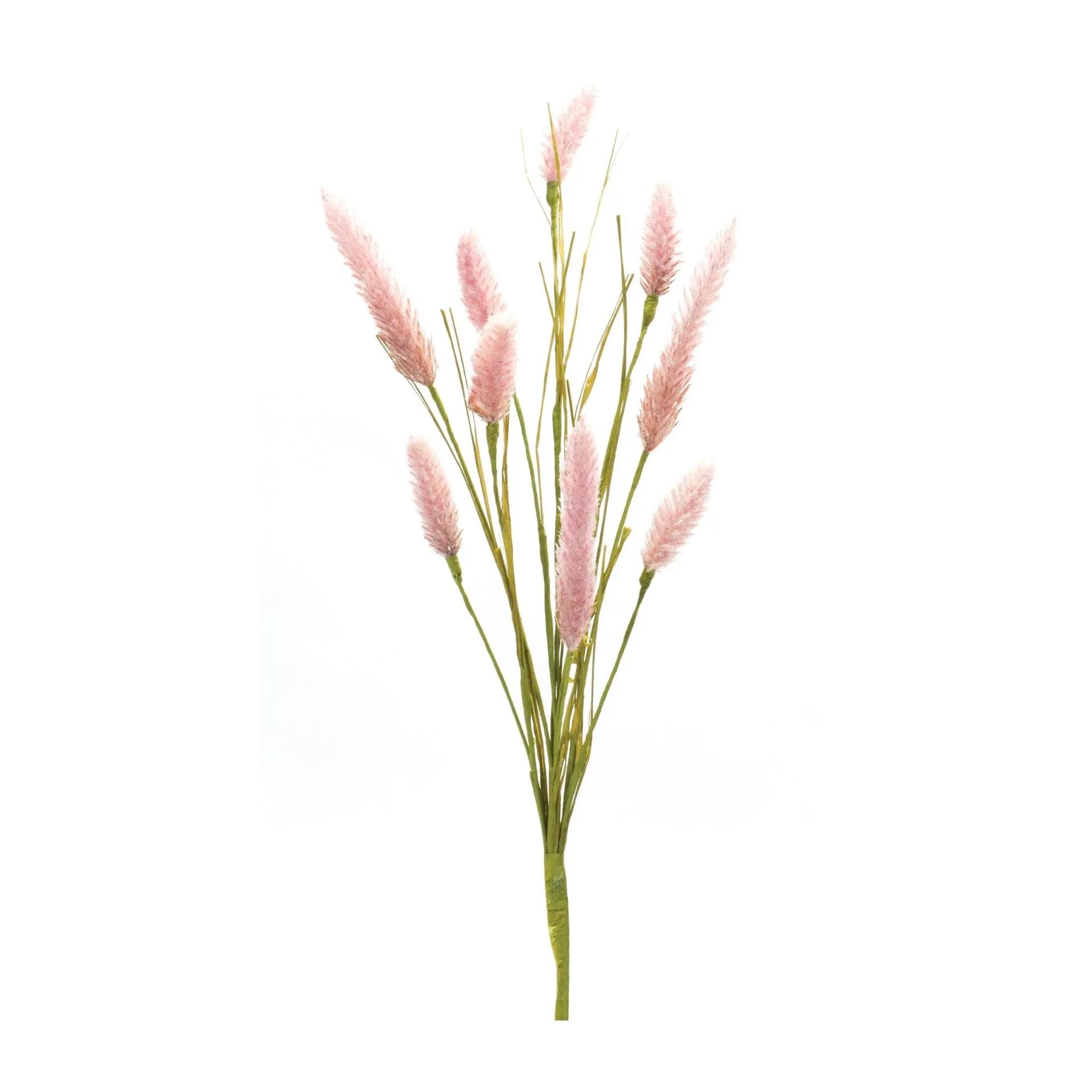 Pink Foxtail Spray, Set of 6