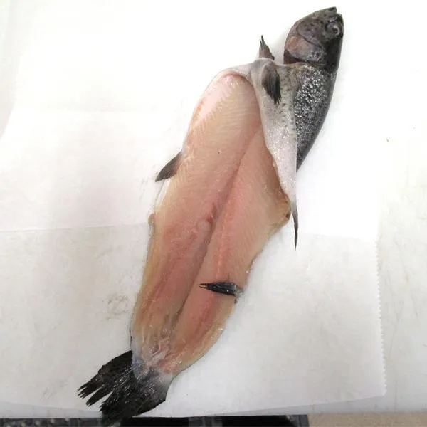 Rainbow Trout - Boned