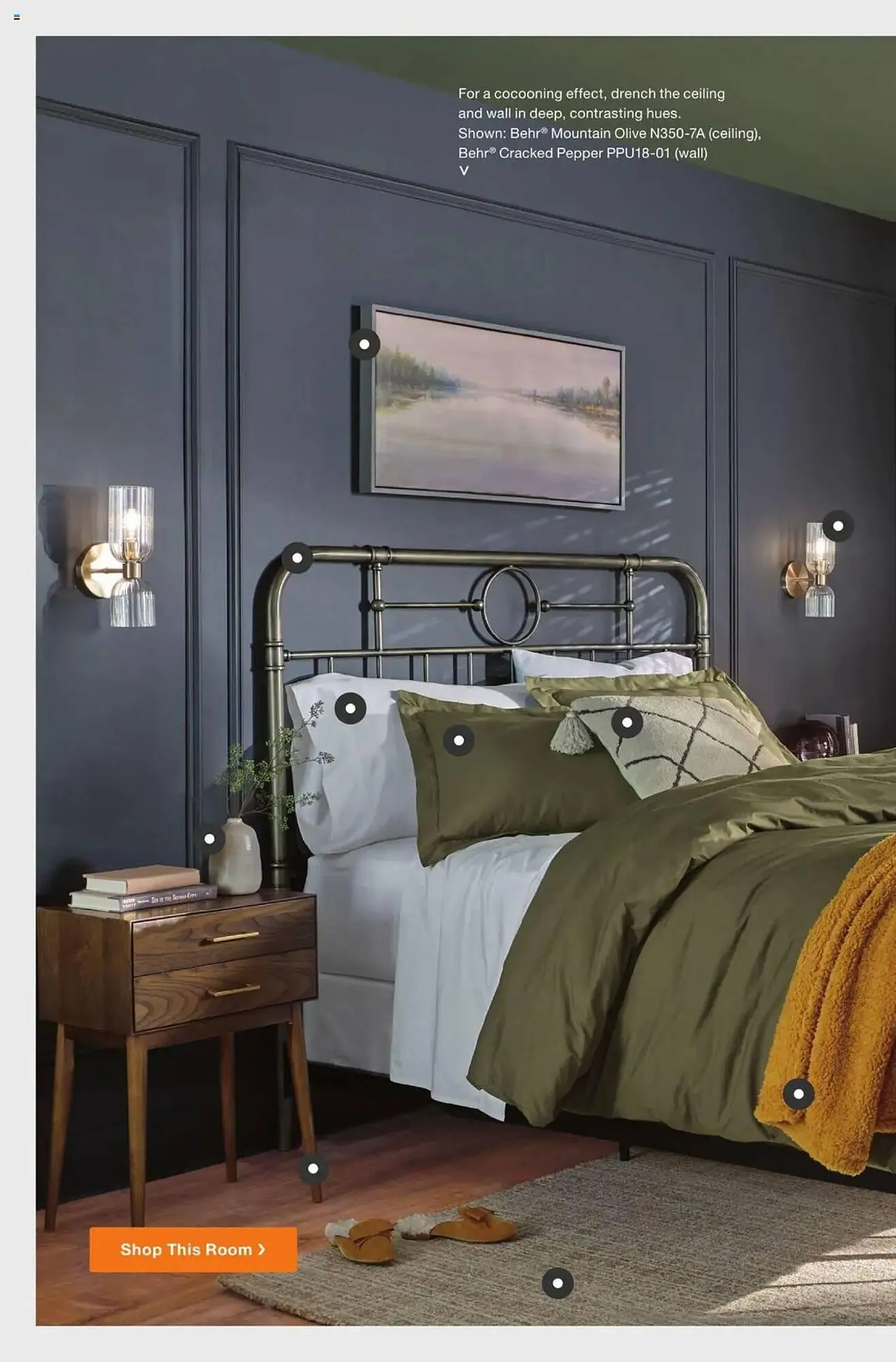 Catálogo de The Home Depot Weekly Ad 10 de febrero al 23 de marzo 2025 - Página 12