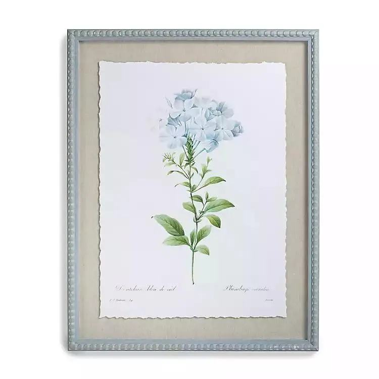 Vintage Blue Plumbago Framed Art Print