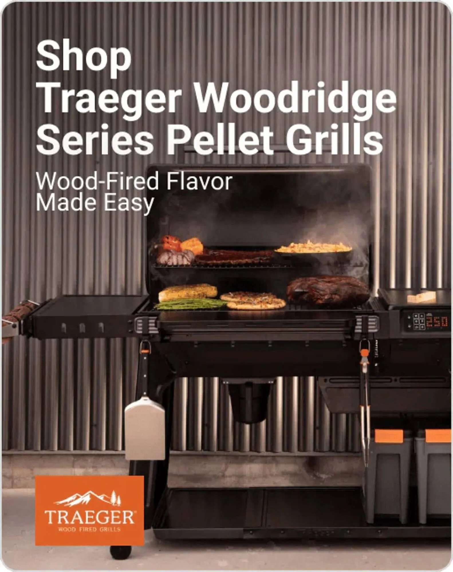 Weekly ad Ace Hardware flyer from February 3 to February 9 2026 - Page 10