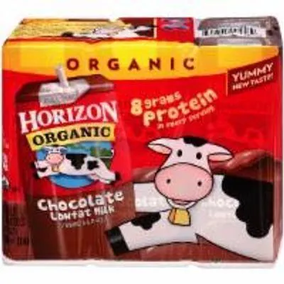 Horizon Organic Chocolate Milk