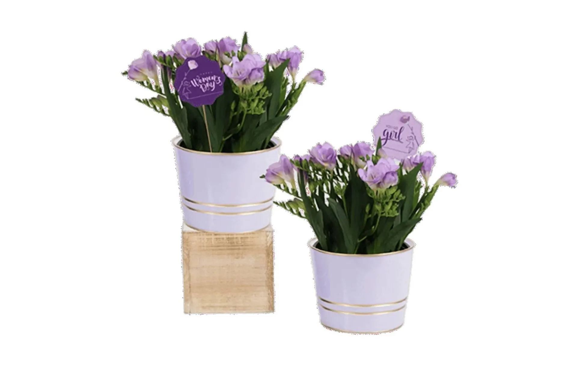 Weekly ad Northgate Market weekly ad from March 9 to March 17 2026 - Page 53