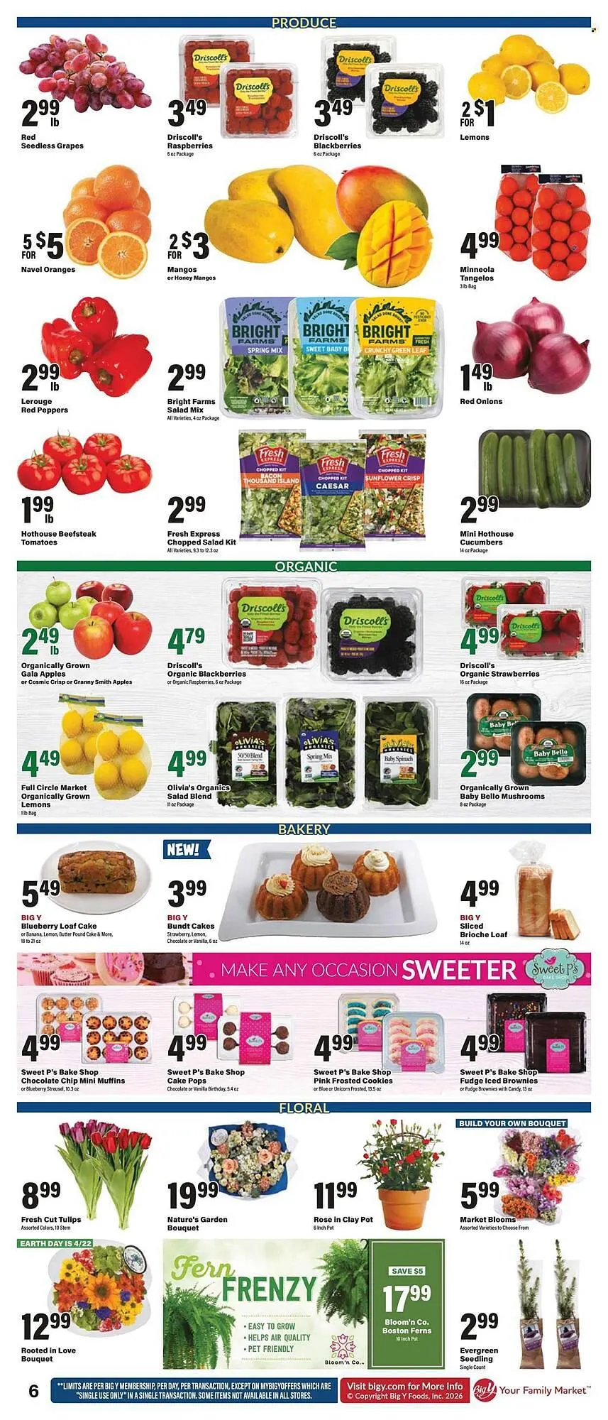 Weekly ad Big Y flyer from April 16 to April 22 2026 - Page 9