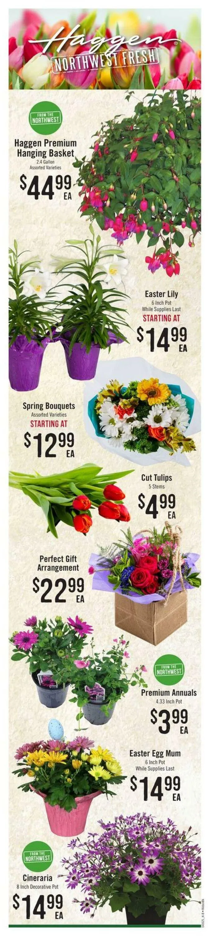 Weekly ad Haggen Current weekly ad from April 16 to April 29 2025 - Page 2