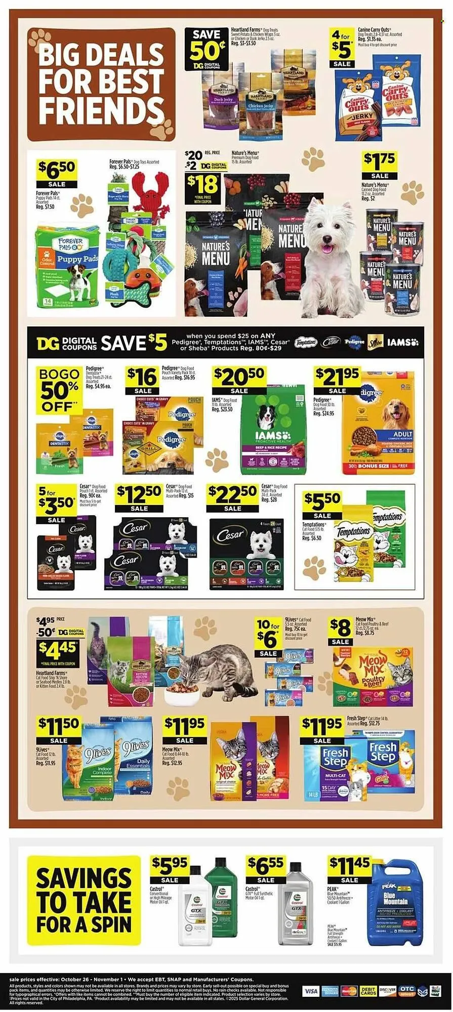 Weekly ad Dollar General weekly ad from October 30 to November 1 2025 - Page 18