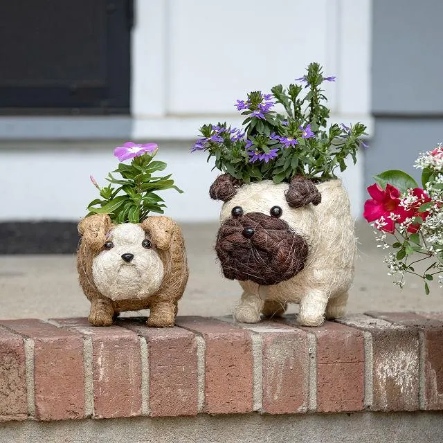 Coconut Fiber Dog Planter