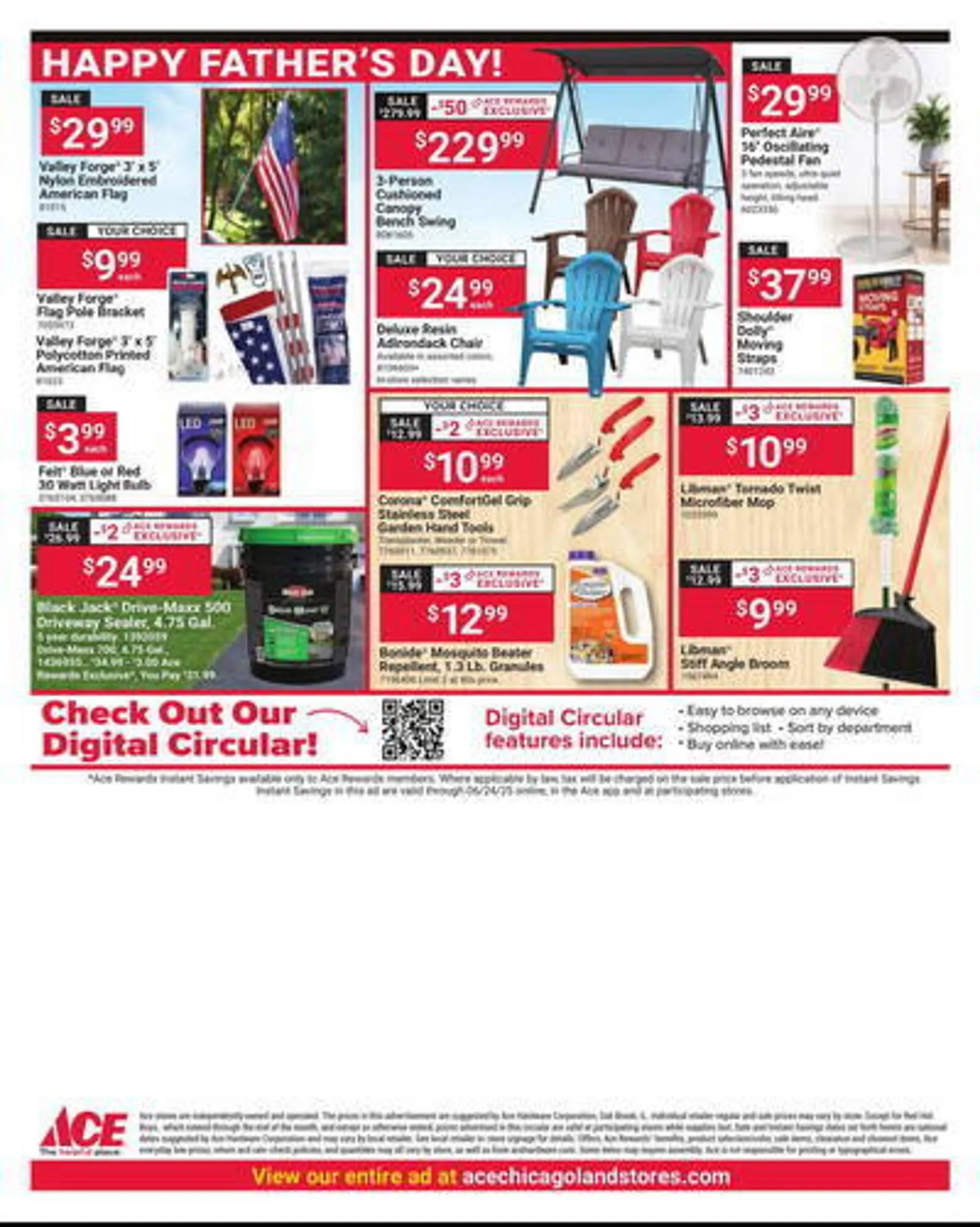Weekly ad Ace Hardware Weekly Ad from June 10 to June 23 2025 - Page 6