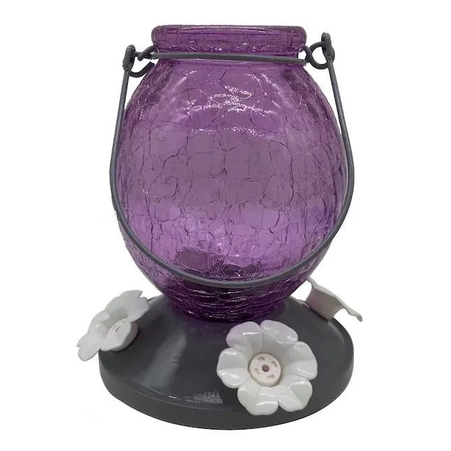 Style Selections Glass Hanging Nectar Bird feeder - 22-oz