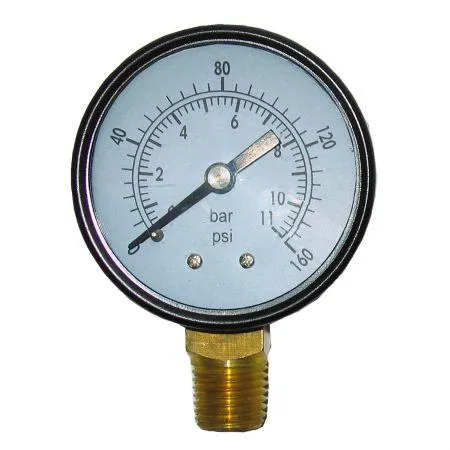 Black Diamond 2 in. Pressure Gauge