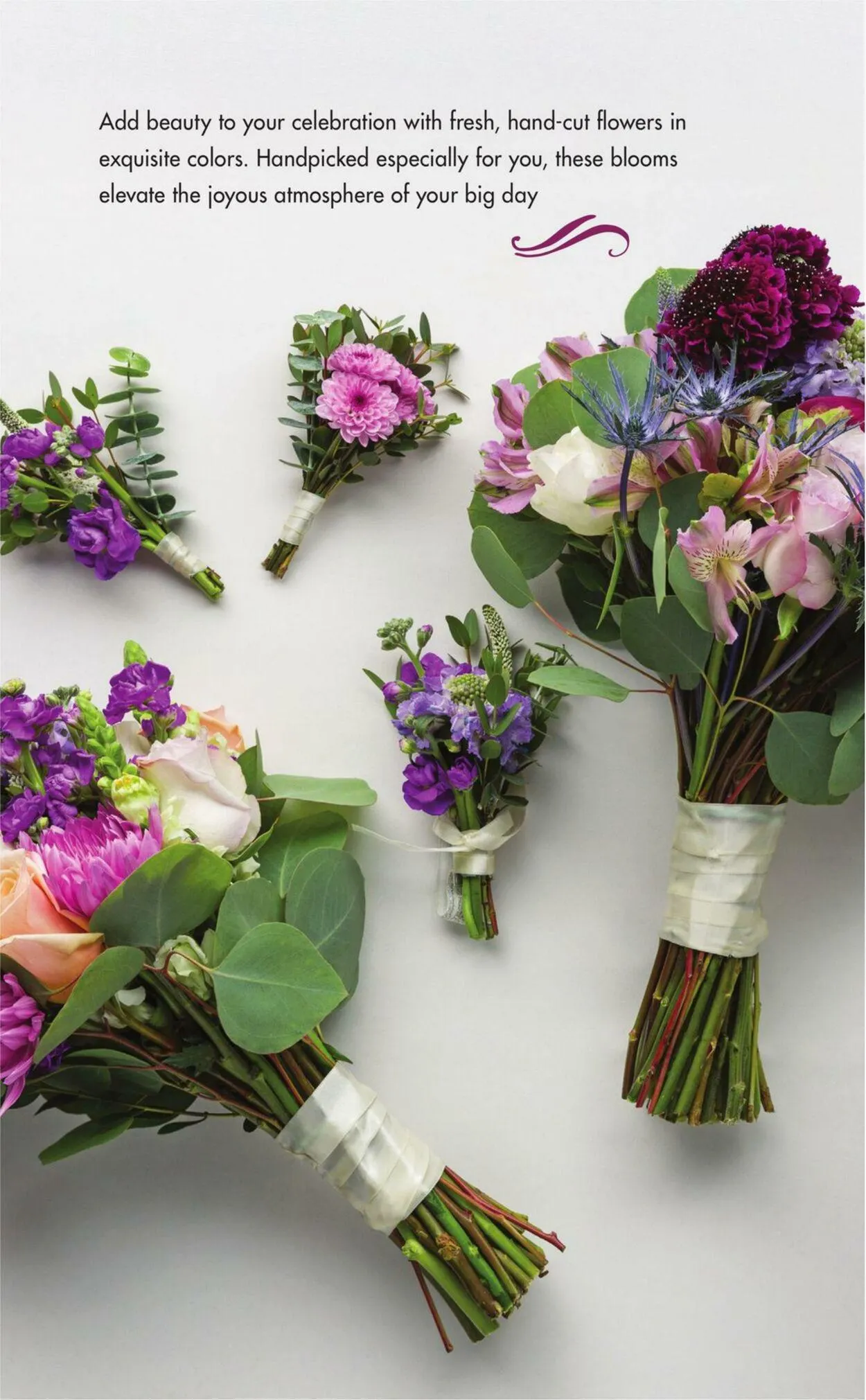 Weekly ad Safeway Current weekly ad from January 1 to December 31 2024 - Page 24