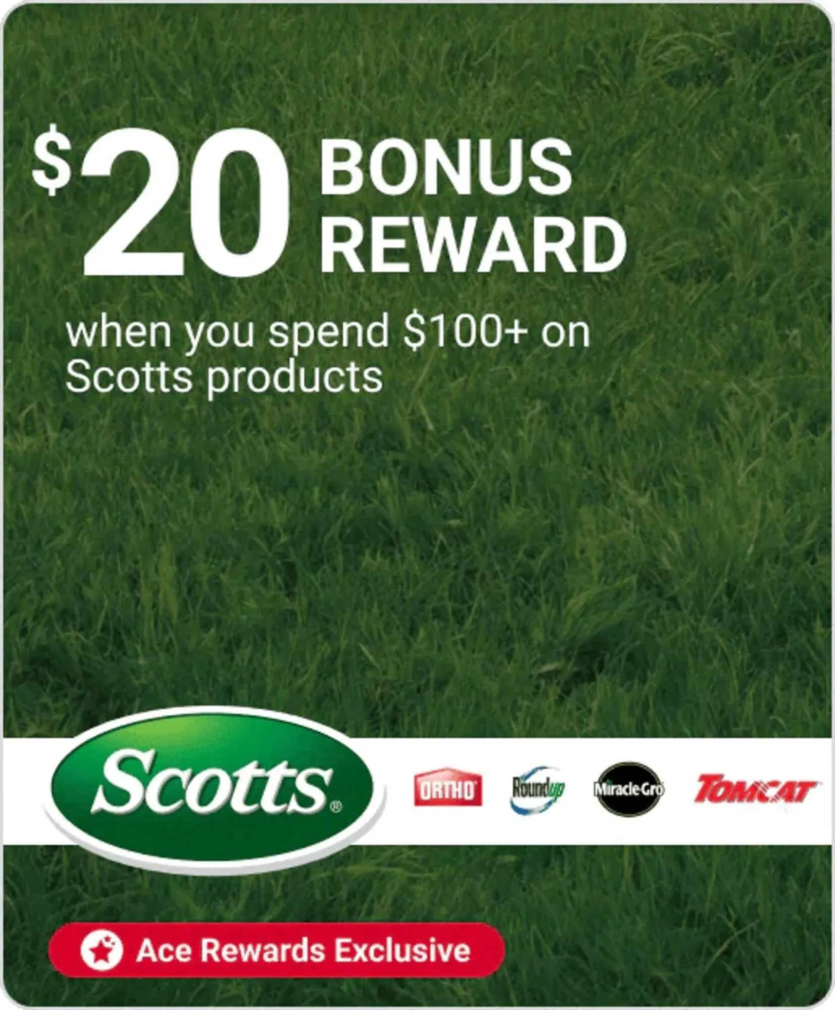 Weekly ad Ace Hardware flyer from September 30 to October 10 2025 - Page 14