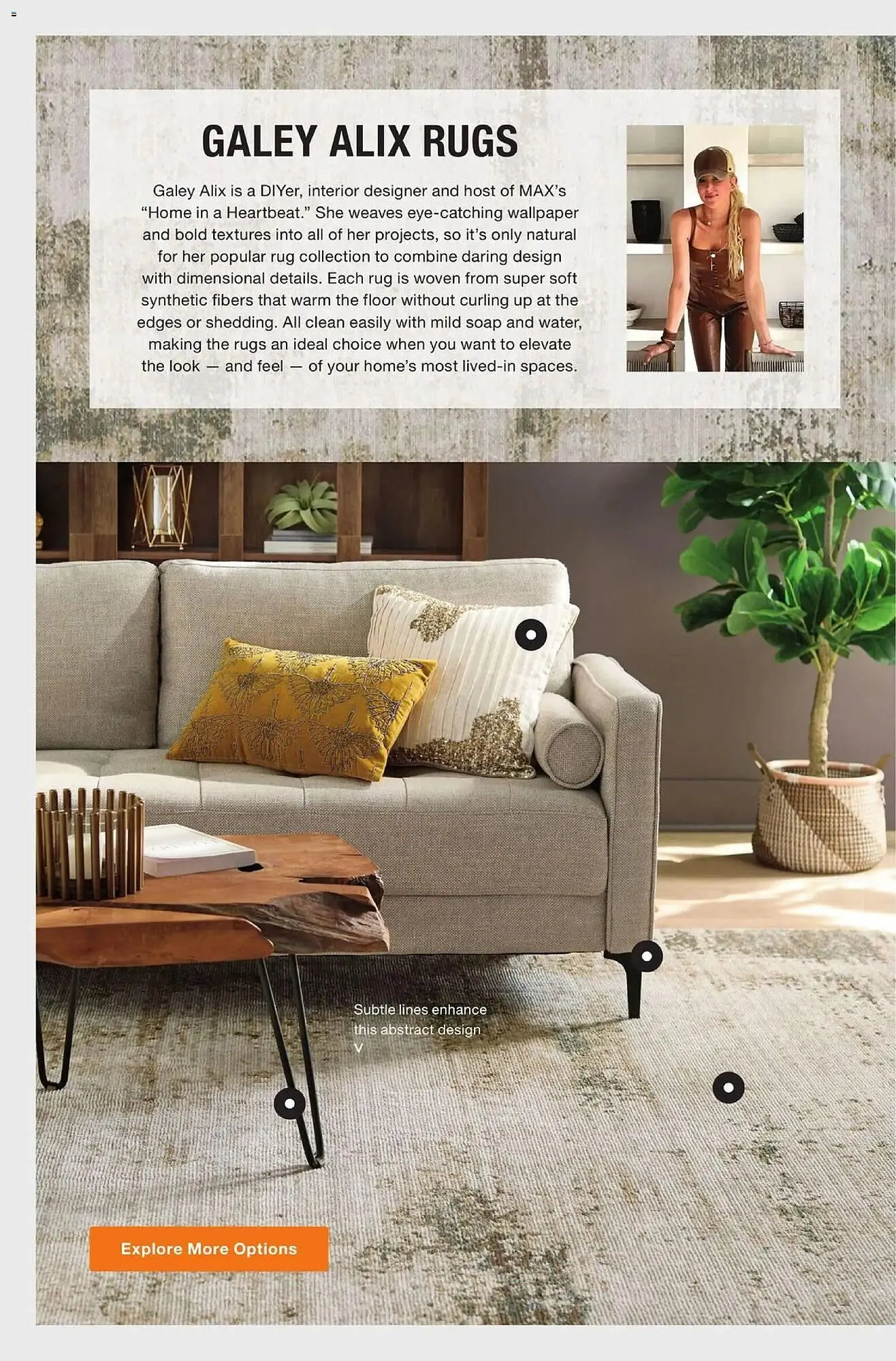 Weekly ad The Home Depot flyer from April 27 to June 15 2026 - Page 24