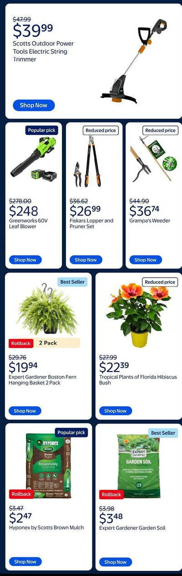 Weekly ad Walmart Weekly Ad from March 19 to March 25 2025 - Page 3
