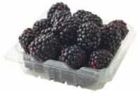 Fresh Blackberries