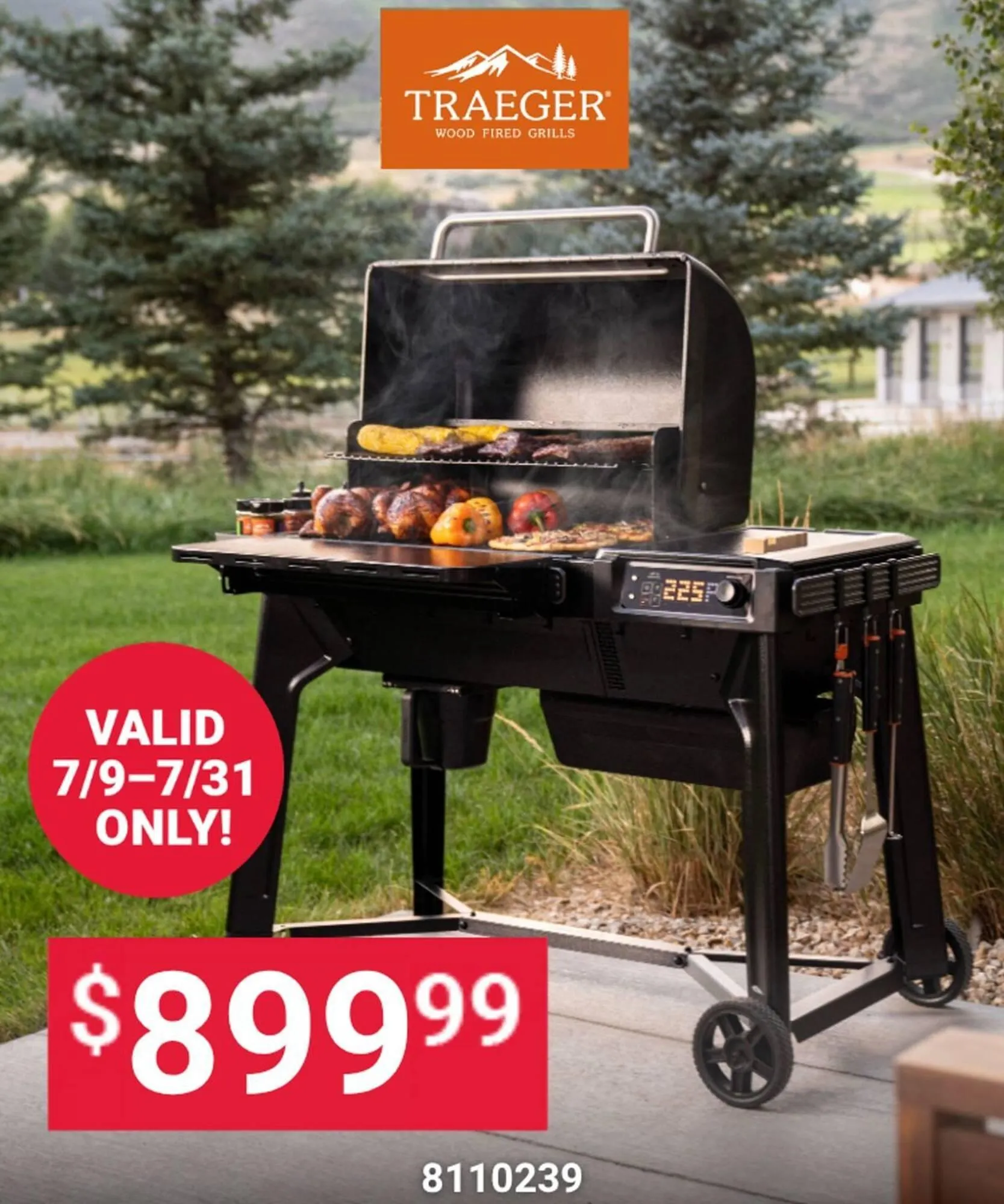 Weekly ad Ace Hardware flyer from July 1 to July 16 2026 - Page 141