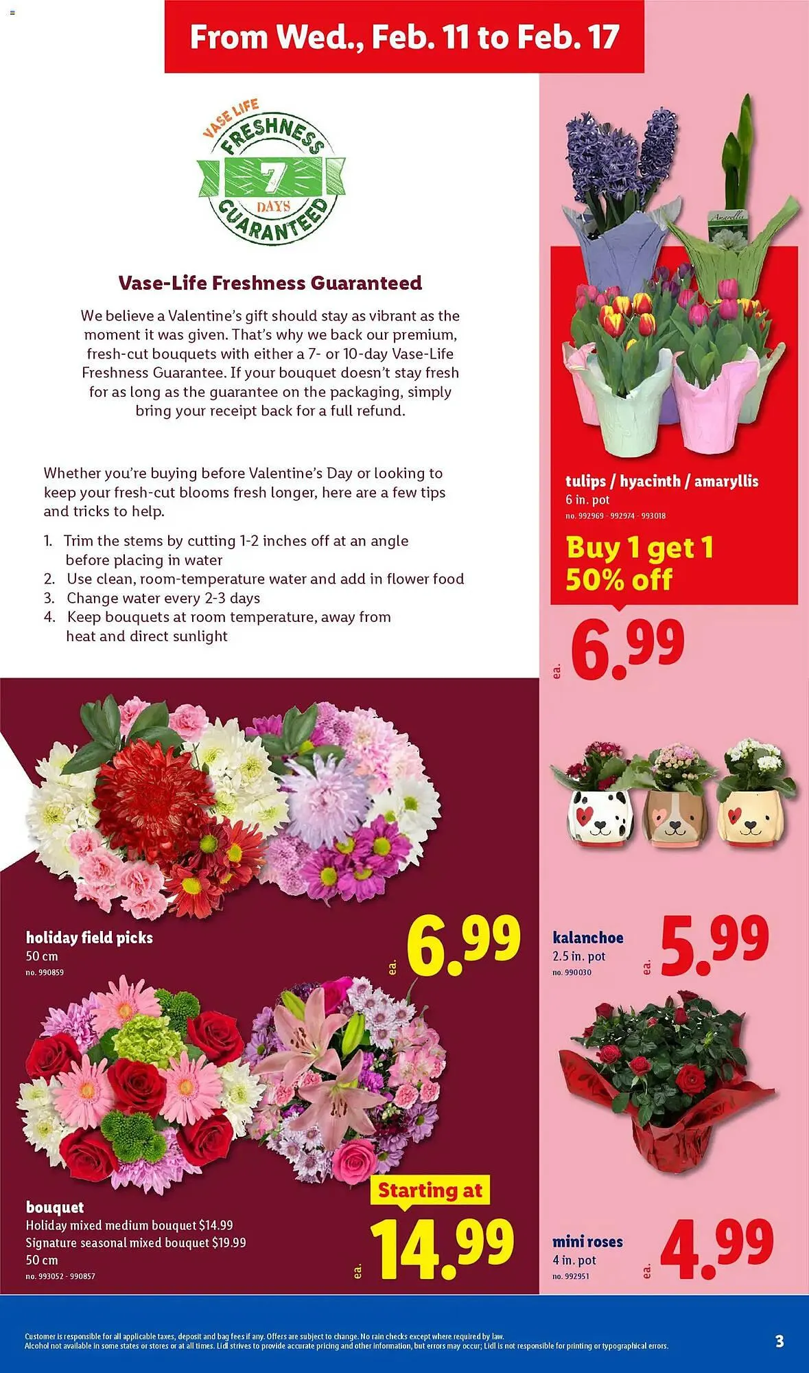 Weekly ad Lidl weekly ad from February 11 to February 17 2026 - Page 3