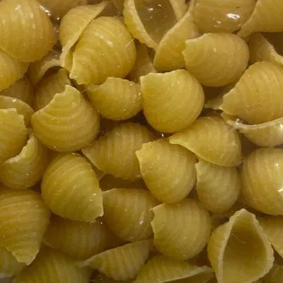 Small Shells (Packaged)