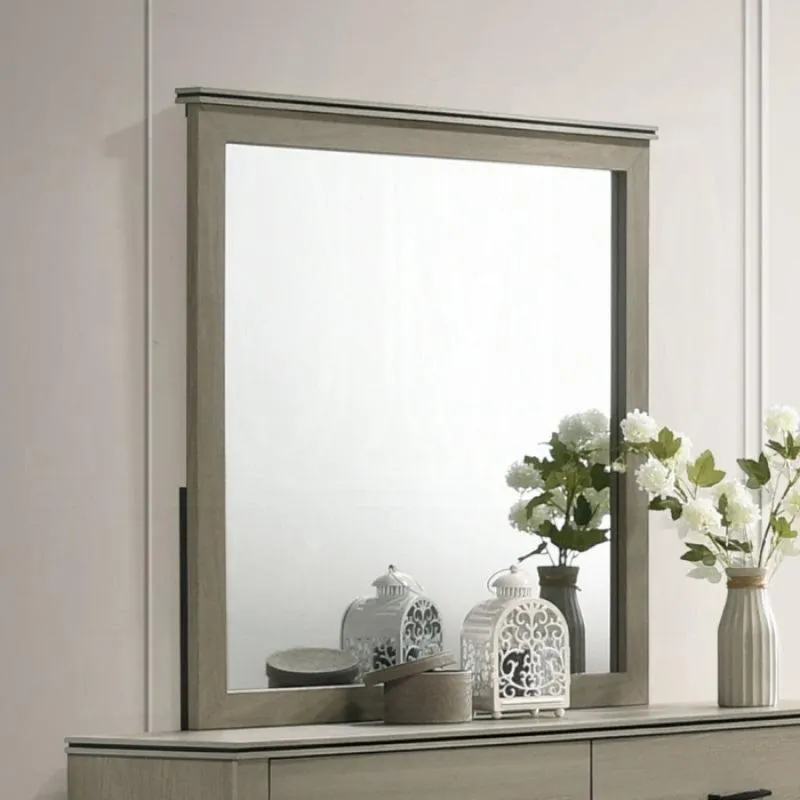 40" Joanna Mirror by Acme Furniture - Gray