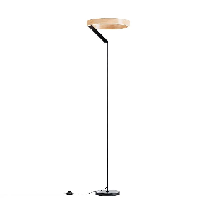 Infibrite Abstract 63-in Black Standard Floor Lamp with No shade Shade