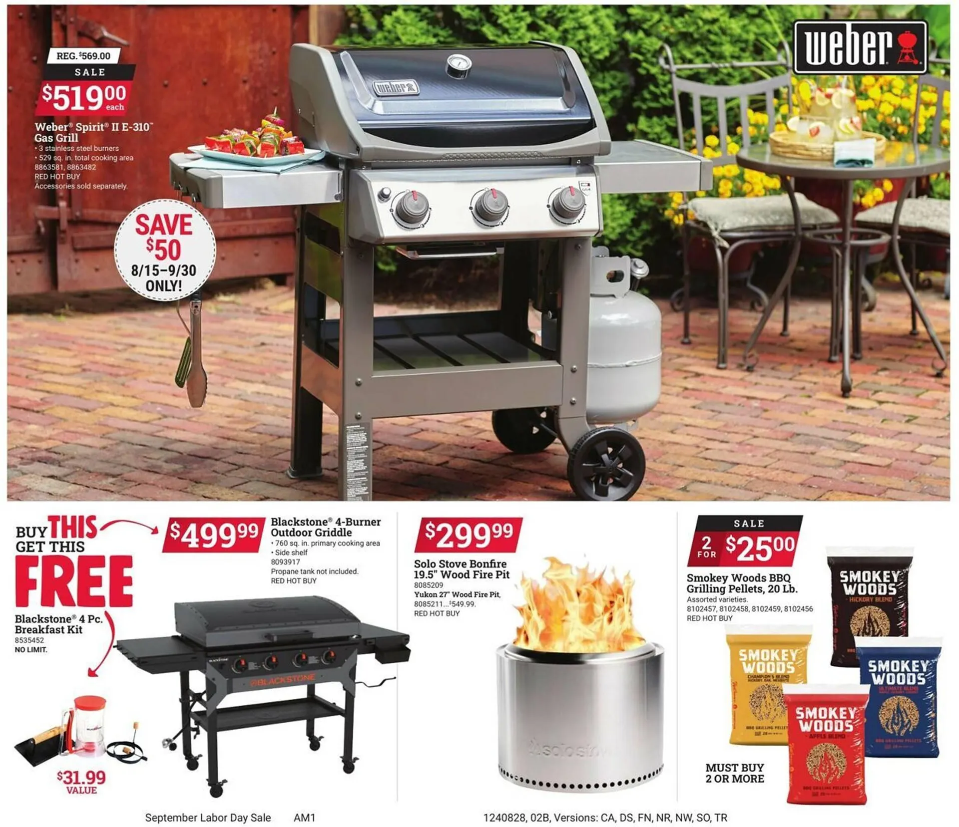 Weekly ad Ace Hardware Weekly Ad from August 28 to September 9 2024 - Page 3