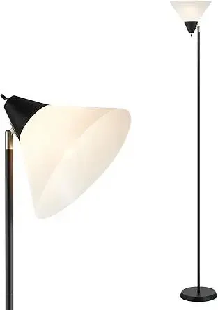 HonoDing Floor Lamp Standing Lamp Adjustable Head Arcylic Shade Floor Lamps for Living Room/Office/Bedroom (Black)