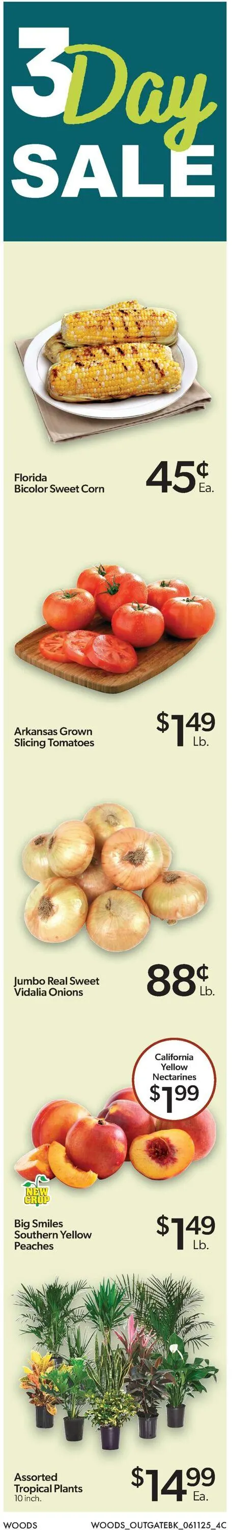 Weekly ad Woods Supermarket from June 11 to June 17 2025 - Page 6