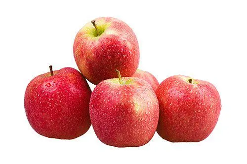 APPLES FUJI OG LOOSE
