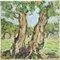 Pino Romanò, Olive Grove, Oil Painting, 1990s