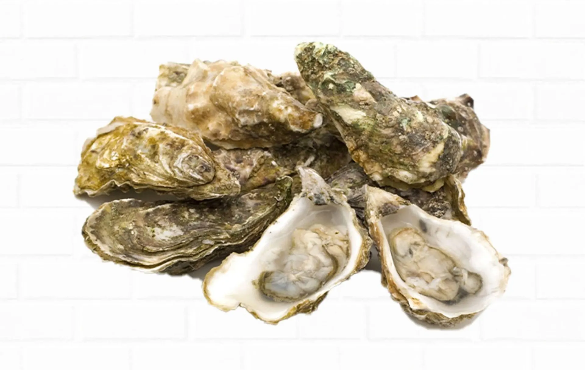 Weekly ad Northgate Market weekly ad from January 29 to February 10 2026 - Page 27