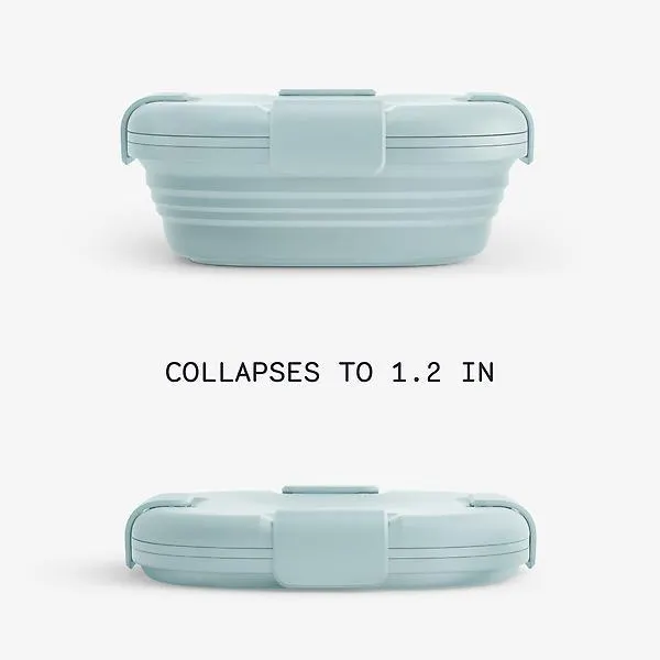 24 oz. Collapsible Sandwich Box Aquamarine