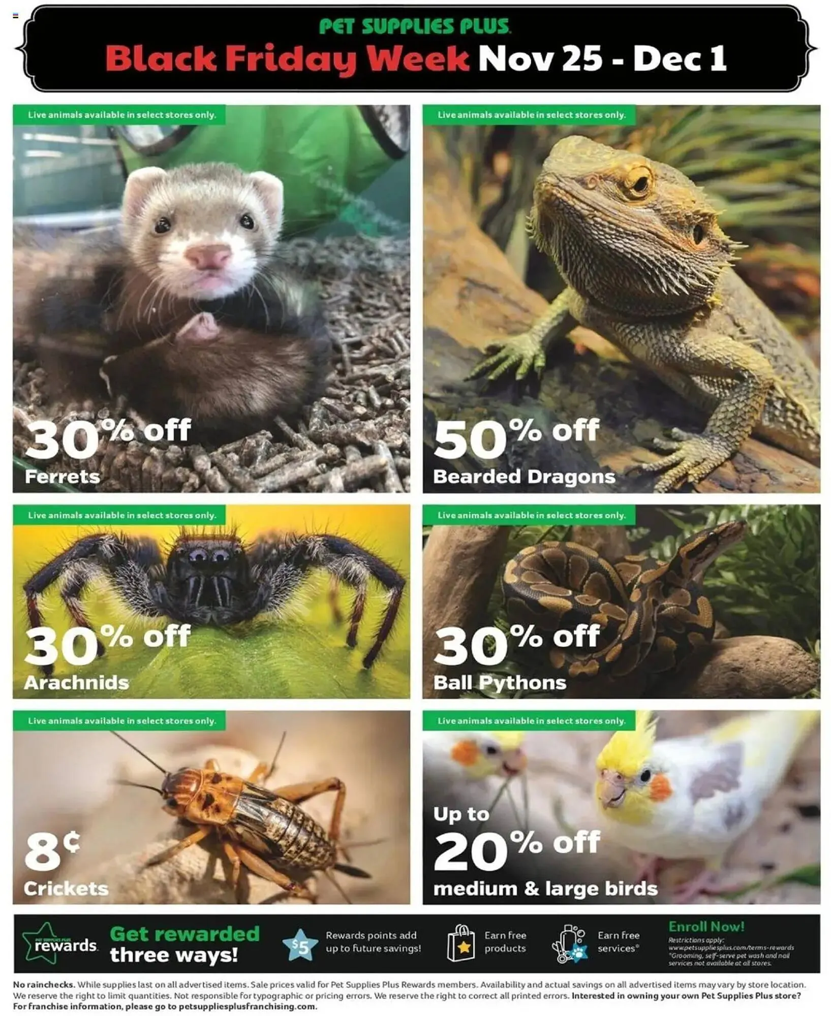 Weekly ad Pet Supplies Plus Weekly Ad from November 25 to December 1 2024 - Page 10