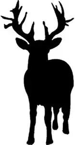 Woodcraft Project Paper Plan To Build Mule Deer Shadow - Material Not Included