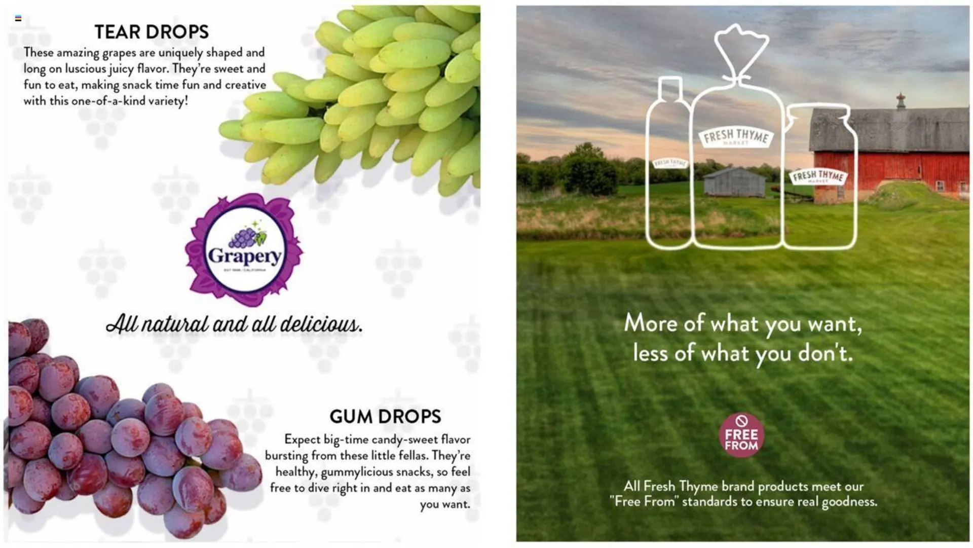 Weekly ad Fresh Thyme Weekly Ad from September 4 to September 10 2024 - Page 7