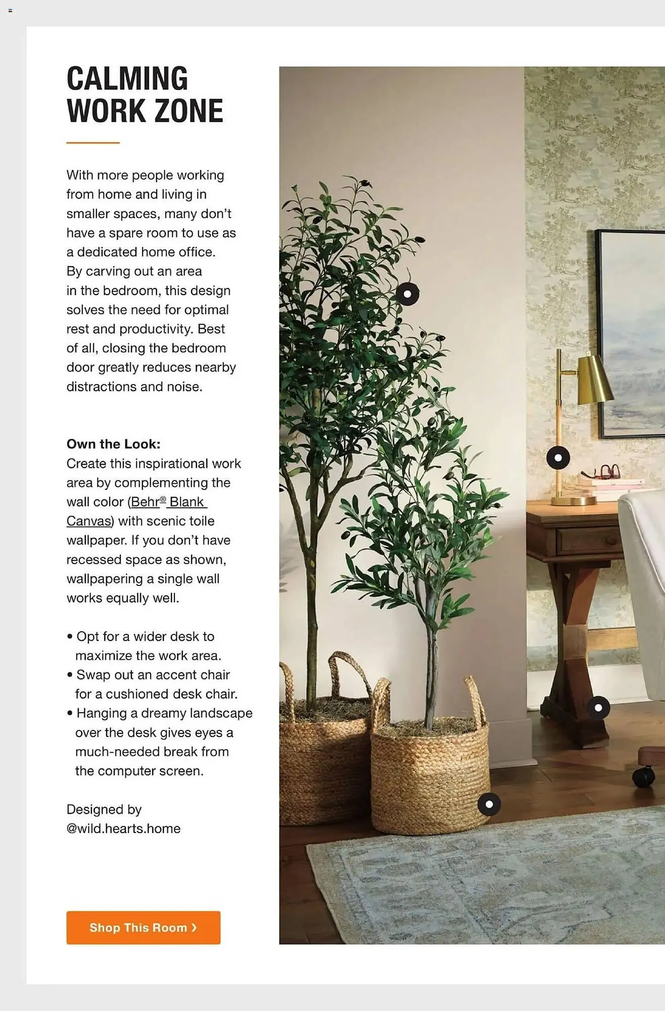 Weekly ad The Home Depot flyer from April 27 to June 15 2026 - Page 22