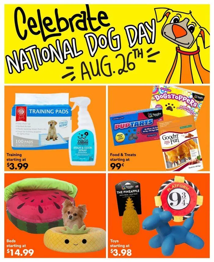 Weekly ad Weekly Add Big Lots from August 24 to September 7 2024 - Page 21