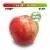 Simple Truth Organic Large Honeycrisp Apple - Each