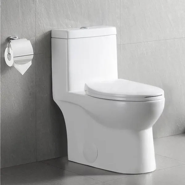 Ally 1-Piece 1.1/1.6 GPF Dual Flush Elongated ADA Comfort Height Toilet in Glossy White Seat Included