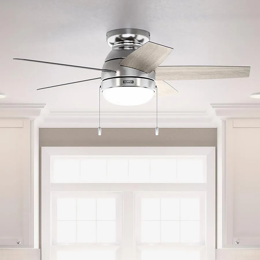 Hunter Alexander 44-in Flush Mount Brushed Nickel with Light Gray Oak Blades Ceiling Fan With Light ( 5 -Blade )