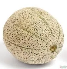 CANTALOUPE ORG