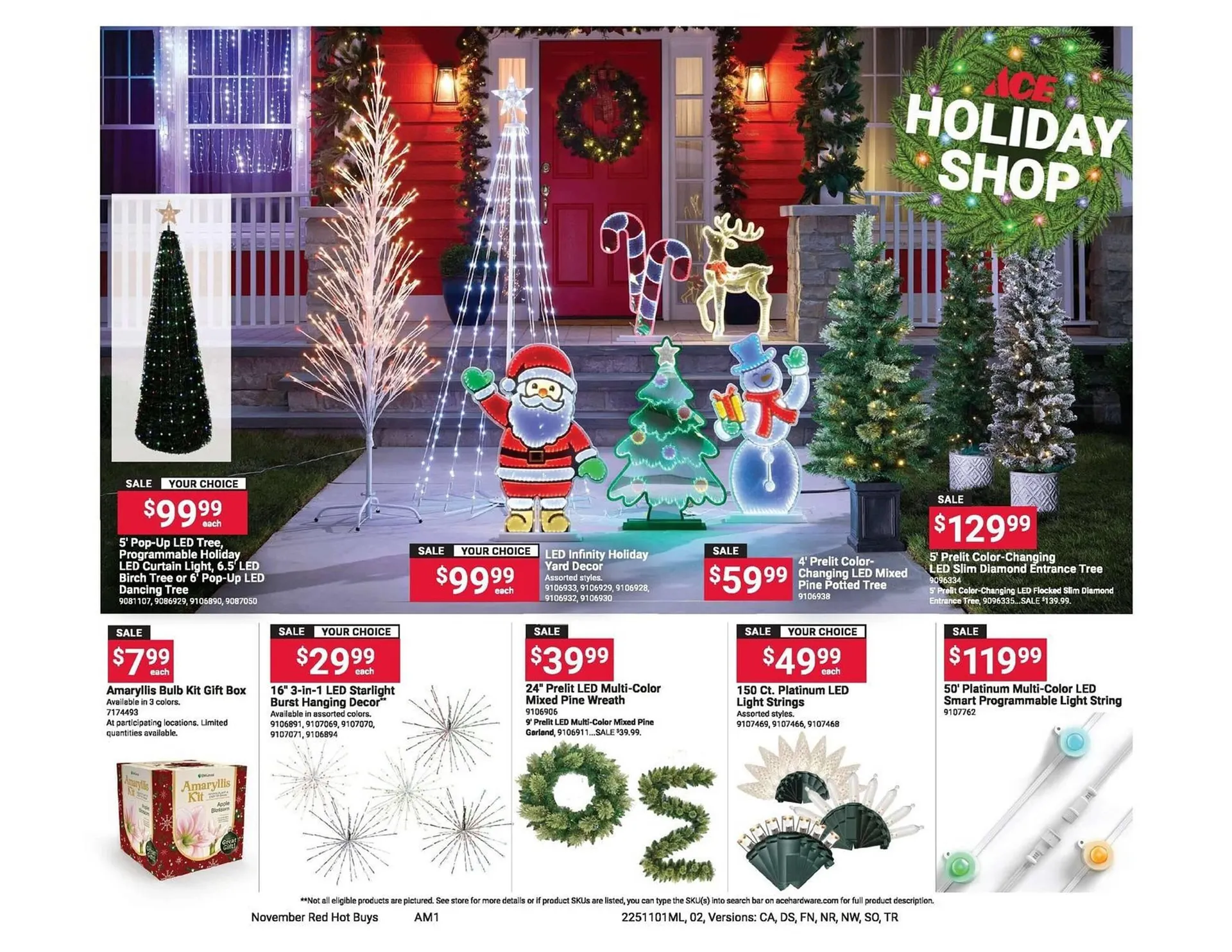 Weekly ad Ace Hardware flyer from November 1 to December 1 2025 - Page 2