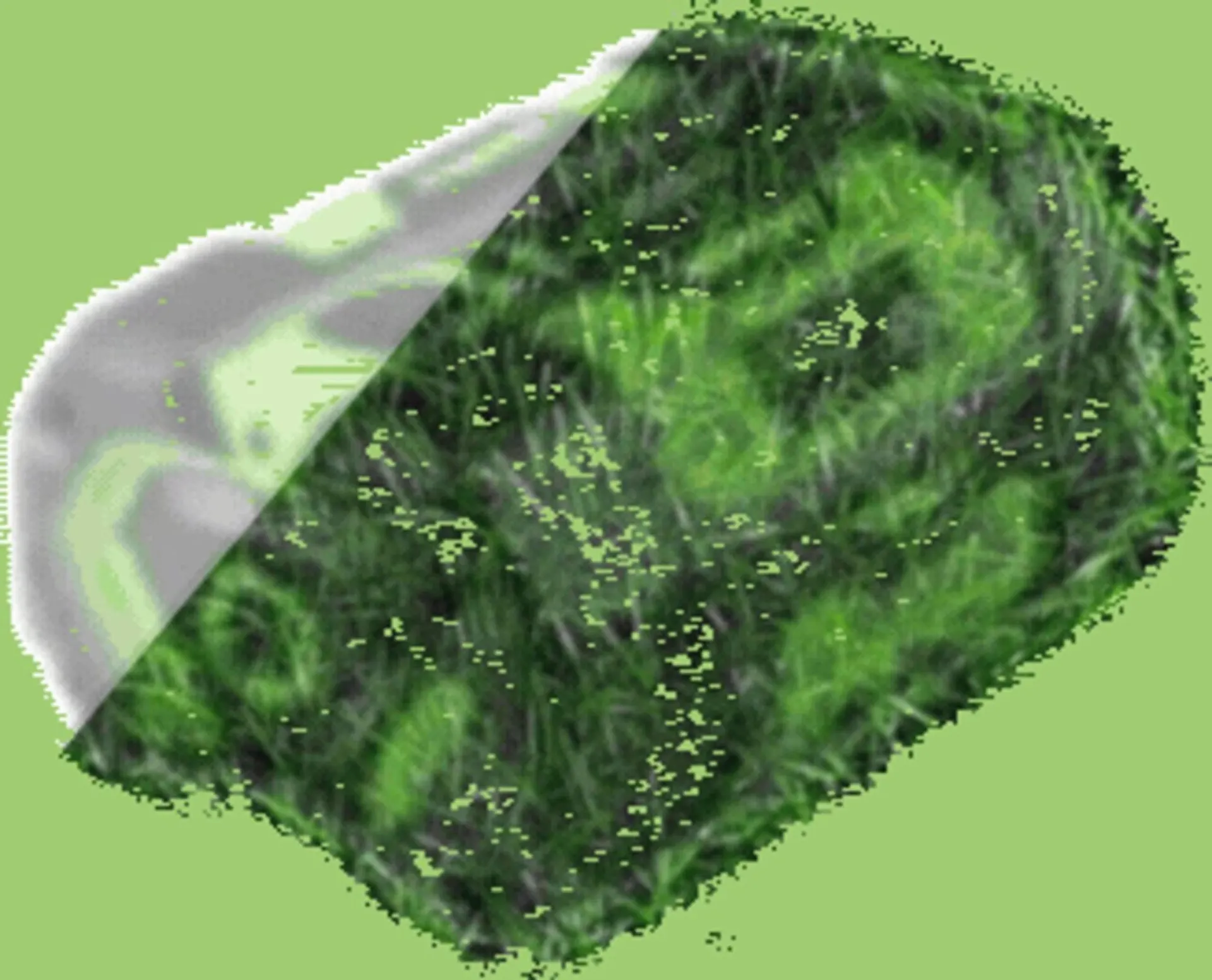 Weekly ad Ace Hardware flyer from April 16 to April 29 2026 - Page 99