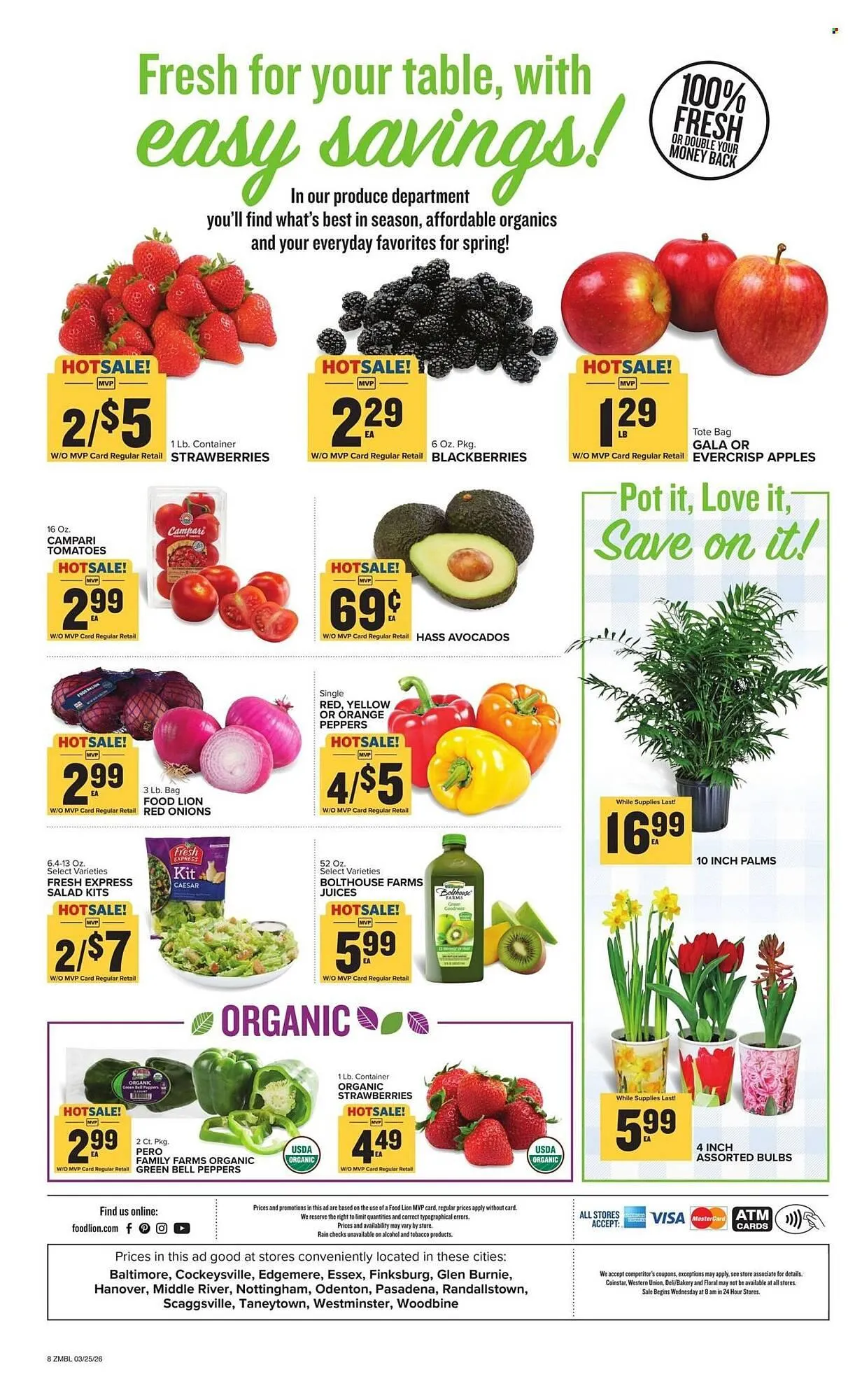 Weekly ad Food Lion weekly ad from March 25 to March 31 2026 - Page 2